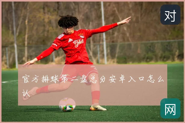 官方排球第二盘总分安卓入口怎么认